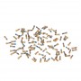 100 PCS for iPhone 6s & 6s Plus Universal Charging Port Screws(Gold)