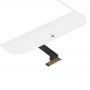 10 PCS 2 in 1 per iPhone 6 (schermo anteriore esterno di vetro dell'obiettivo + Flex Cable) (bianco)