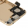 Full Housing Back Cover with Power Button & Volume Button Flex Cable & Charging Port Flex Cable & Speaker Ringer Buzzer for iPhone 6(Gold)