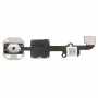 Botón Inicio cable flexible para el iPhone 6 Plus