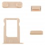 Vollständige Gehäuse Legierung rückseitige Abdeckung mit Mute-Taste + Power-Tasten + Lautstärke-Taste + Nano-SIM-Karten-Behälter für iPhone 5S (Light Gold)