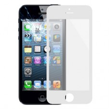 Front Screen Outer Glass Lens for iPhone 5 & 5S(White) 