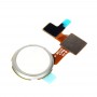 Pulsante Home Flex Cable con identificazione delle impronte digitali per Google Nexus 5X (bianco)