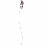 Antenna Cable for Galaxy SIII / i9300