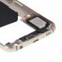 Volver panel placa lente de la cámara de carcasa con teclas laterales y altavoz timbre zumbador para Galaxy S6 / G920F (Oro)