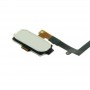 Bouton Accueil Flex Câble avec identification d'empreintes digitales pour edge / G925 S6 Galaxy (Blanc)