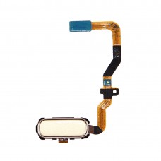Przycisk Start Flex Cable dla Galaxy S7 / G930 (Gold)