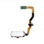 Knopf-Flexkabel für Galaxy S7 / G930 (weiß)
