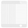 10 tk iPhone'i 5c esikülje välimise klaasi objektiivi (valge)