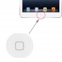 Bouton à la maison pour iPad Air (blanc)
