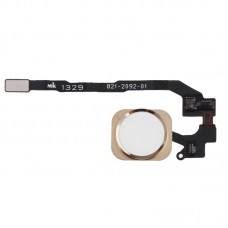 Bouton de clé d'accueil avec câble Flex Membrane PCB pour iPhone 5S, aucune fonction d'identification d'empreinte digitale (or)