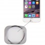 Bouton de la maison pour iPhone 6 (blanc)