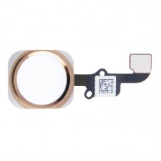 Home Button Flex Cable for iPhone 6 & 6 Plus, Not Supporting Fingerprint Identification(Gold) 