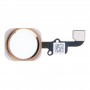 Home Button Flex Cable for iPhone 6 & 6 Plus, Not Supporting Fingerprint Identification(Gold)