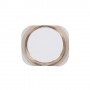 Home Button for iPhone 6s (Gold)
