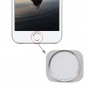 Home Button per iPhone 6S Più (argento)