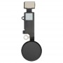 כפתור הבית Flex כבל עבור 8 iPhone, בלי לתמוך זיהוי טביעות אצבע (שחור)