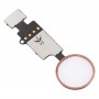 Бутон за дома (3-та) с Flex кабел (не поддържащ идентификация на пръстови отпечатъци) за iPhone 8 Plus / 7 Plus / 8/7 (розов)
