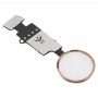 Botón de Inicio (3º) con cable flexible (no apoyar identificación de huellas dactilares) para iPhone Plus 8/7 Plus / 8/7 (Oro)