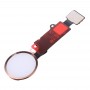 Knopf-Flexkabel, nicht Unterstützung Fingerabdruck-Identifikation für iPhone 8 Plus (Gold)