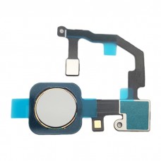 Датчик отпечатков пальцев Flex Cable для Google Pixel 5A 5G (белый)