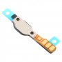 Flashlight Flex Cable For Motorola Moto Z2 Play