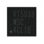 Module Audio IC RT5033